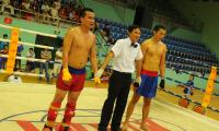 ngoc-tinh-kich-boxing-02.JPG