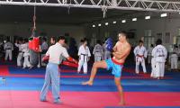 ngoc-tinh-kich-boxing-08.JPG